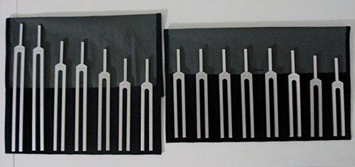音叉をかざした臓器は血流がよくなるのか、ポカポカ心地良いです。